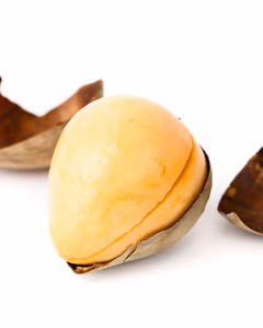 Avocado Seed