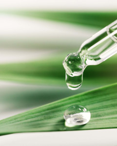 Plant Glycerite