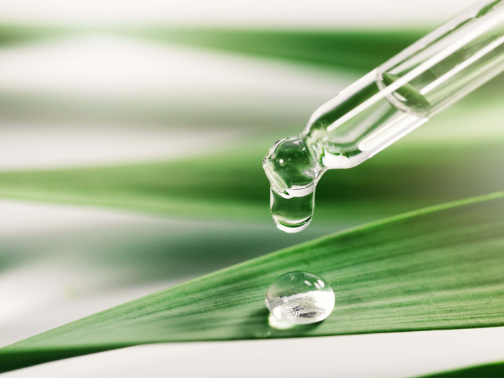 Plant Glycerite
