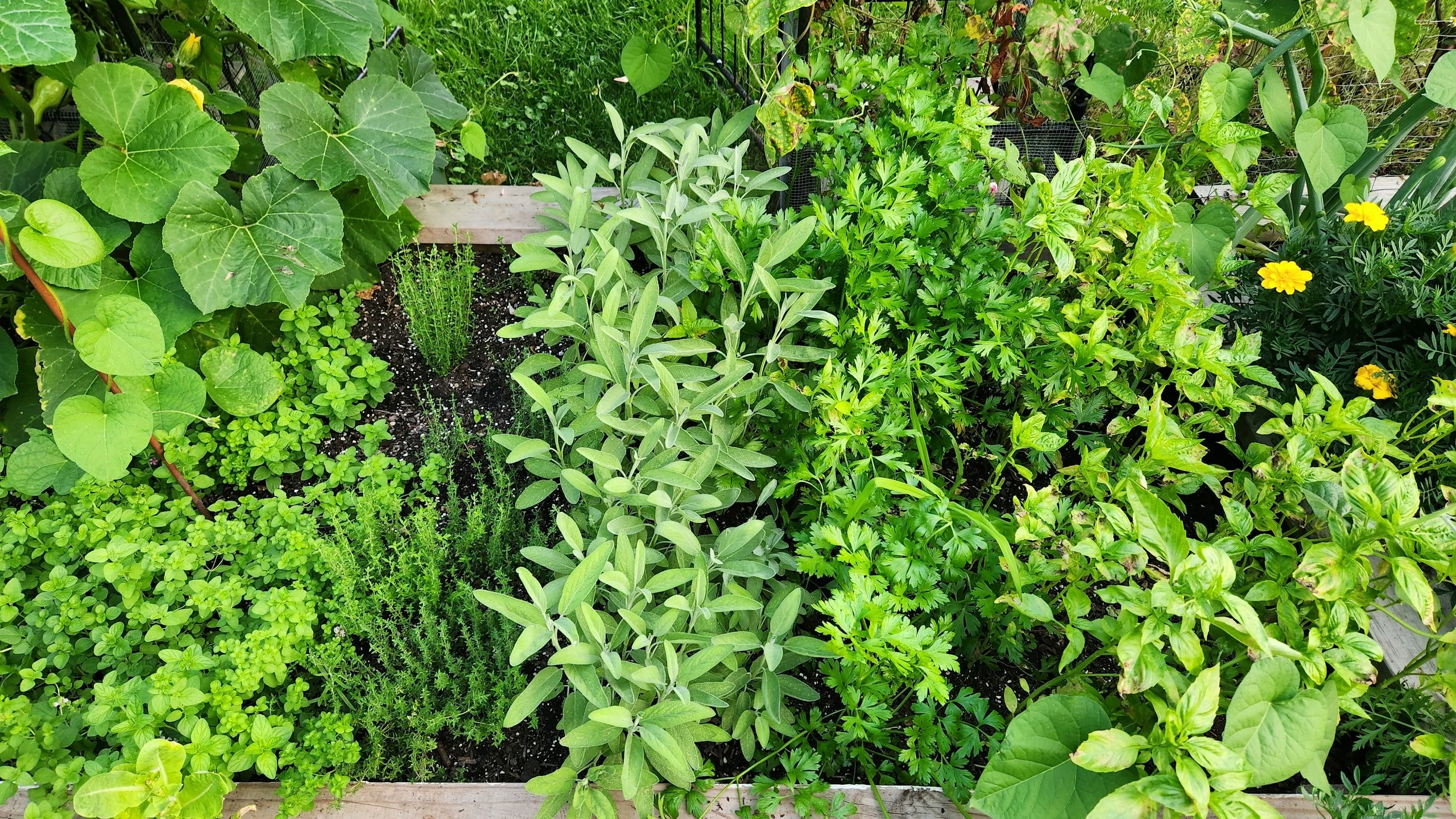 Organic ingredients